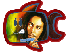 rasta013