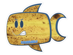 13ananas