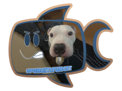 spuhget2fuhget